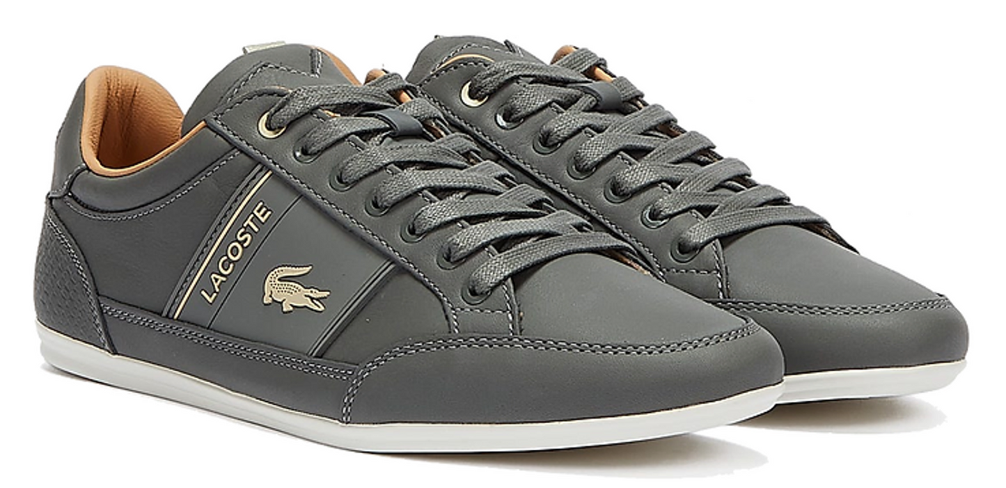Lacoste Chaymon 0321 1 CMA Leather - 710CMA0010-2M1 - Adults
