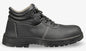 Steel Toe -  Satety Jogger Labor - Men's
